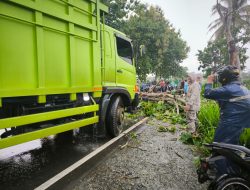 Akibat Hujan Deras Anggota Satlantas Polres Lampung Timur Evakuasi Pohon Tumbang di Jalan Sukadana