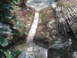 DLH Tulang Bawang Barat Diduga Bermain Mata dengan Lapak Karet “Kopi Pahit”